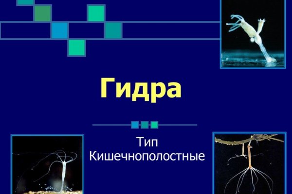 Зарегистрироваться на сайте кракен